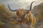 Bovine Highlander IV Art Print