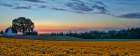 Sundown on the Farm Art Print