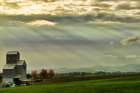 Wine Country Sunset Art Print