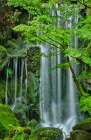 Silky Falls Art Print