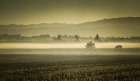 Dawns Early Light Art Print