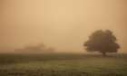 Foggy Barn Art Print