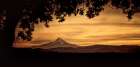 Mt. Hood at Sunset Art Print