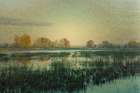 Wetlands Art Print