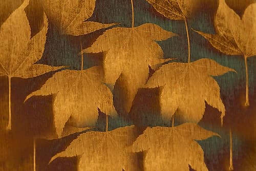 Collection of Leaves Art Print