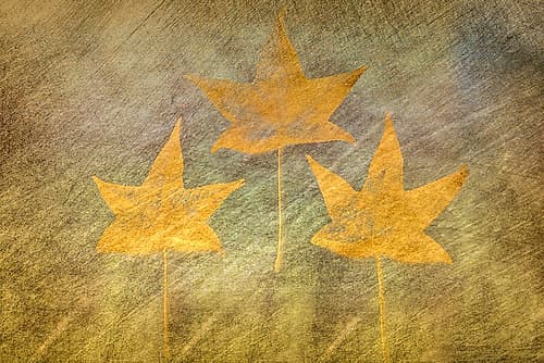 Three Golden Leaves Minimalist Print