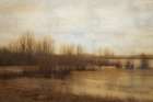 Marshland Art Print