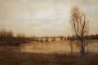 Tree Along the Marsh Art Print