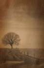 The Tree at the End of the Path Art Print