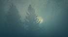 Sunrise in the Fog Art Print