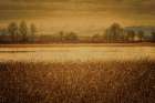 Across the Field and Pond Art Print