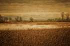 Little Barn Across the Pond Art Print