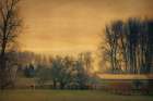 In the Pasture Art Print
