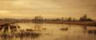 Wetland Expanse Art Print