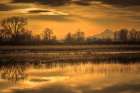Morning Unfolds Art Print
