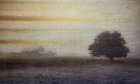 Misty Barn and Tree Art Print