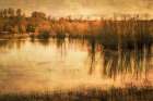 Just after Dawn Art Print