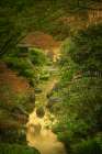 Spring from the Moonbridge Art Print