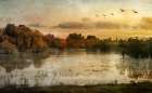 Spring Wetlands Art Print