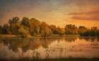 Morning Reflections Art Print