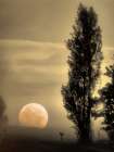 Daybreak on a Country Road Art Print