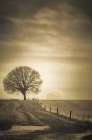 Down the Winding Path Art Print