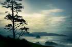 Beyond the Tree at the Overlook Art Print
