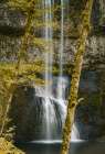 Lower South Falls Golden Art Print