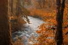 Silver Creek Art Print