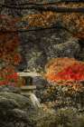 Lantern in the Autumn Glow Art Print