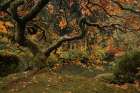 Golden Falls at the Garden Art Print