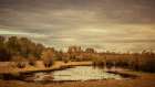 Late Autumn Pond Art Print