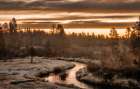 Along the Little Deschutes Art Print
