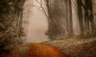 Straight into the Mist Art Print