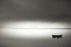 Quiet Morning in the Bay Art Print