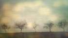 Five Trees on a Hill Art Print