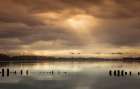 Columbia River Morning Art Print