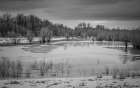 Winter Wetland Art Print