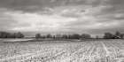 Snow Dusted Field Art Print
