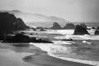 Along the Rugged Coast Art Print
