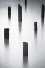 River Pilings Art Print