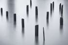 Pilings Before Dark Art Print