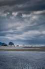 Coastal Blue Art Print