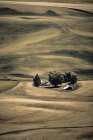 Hills and Swirls Art Print