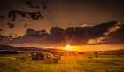 Sunset in the Hay Field Art Print