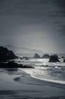 Rugged Shoreline Art Print