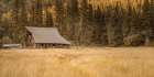 Old Barn in the Wilderness Art Print