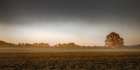 A Wisp of Fog in the Field Art Print