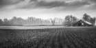 Winter Pasture Art Print