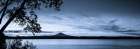 Mt Rainier Morning Art Print